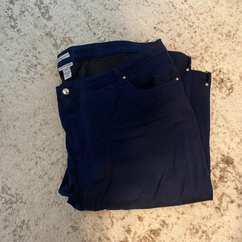 Navy capri pants. From Catherine’s. The Sateen stretch size 32